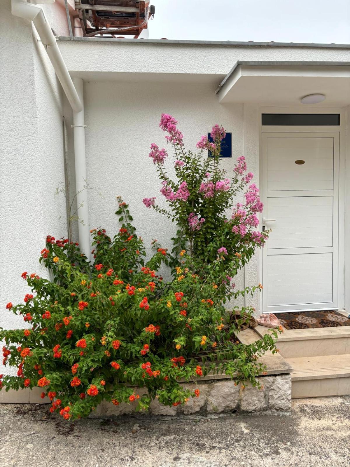 Viducic Apartments Dragove Exterior foto